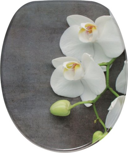 Sanilo WC-Sitz, BxL: 37,7 x 47 cm, Pretty - grau