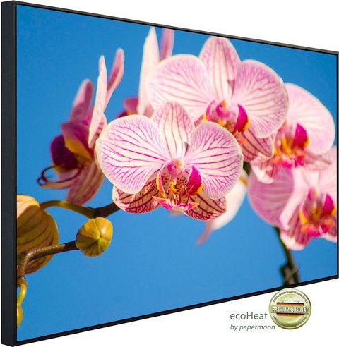 papermoon Infrarotheizung »EcoHeat - Rosa Phalaenopsis Orchidee«, Matt-Effekt - bunt