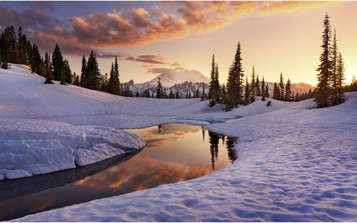 KOMAR Vliestapete »America«, Breite 450 cm, seidenmatt - bunt