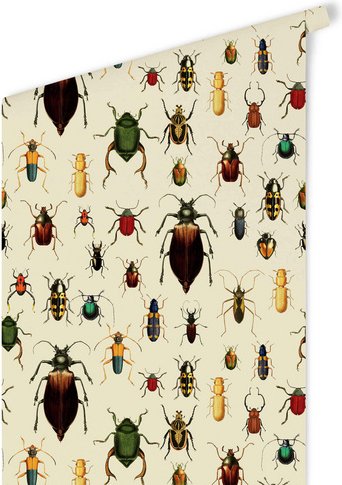 K&L Wall Art Vliestapete »Vintage Vliestapete«, Käfer Borkenkäfer Retro, mehrfarbig, matt - bunt