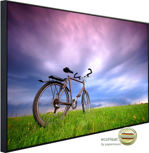 papermoon Infrarotheizung »EcoHeat - Fahrrad in Grünland«, Matt-Effekt - bunt