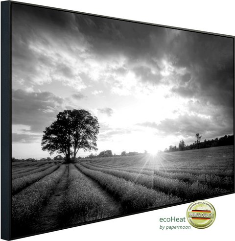 Thumbnail - papermoon Infrarotheizung »EcoHeat - Landschaft schwarz + weiss«, Matt-Effekt - bunt