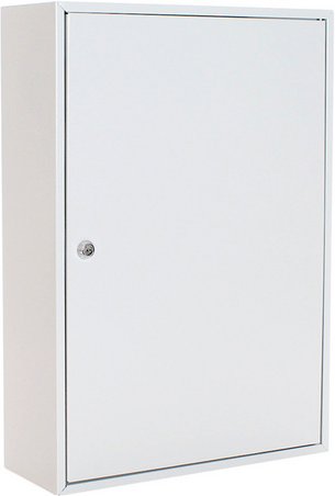 Rottner Tresor Schlüsseltresor »S Schlüsselschrank«, lichtgrau, Stahl, (B x H:) 38 x 55 cm