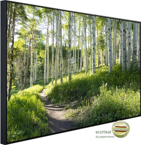 Thumbnail - papermoon Infrarotheizung »EcoHeat - Birkenwanderweg«, Matt-Effekt - bunt