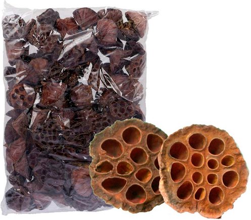 Flowerbox Lotuskolben - beige