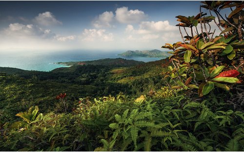 KOMAR Vliestapete »Heavens Balcony«, Breite 450 cm, seidenmatt - bunt