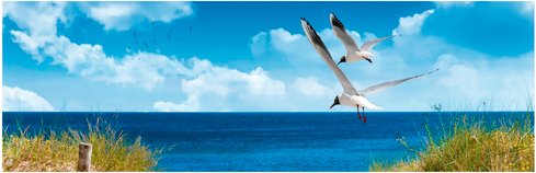 mySPOTTI Badrückwand »North Sea«, BxH:140 cm x 45 cm, blau