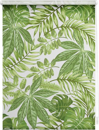 Thumbnail - Lichtblick Rollo, Klemmfix, 70x150 cm, Blätter, grün - gruen