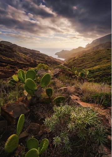 KOMAR Vliestapete »Warmes Licht«, Breite 200 cm, seidenmatt - bunt
