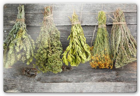 K&L Wall Art Glasbild »Glasbild«, BxH: 60 x 40 cm, Esszimmer Deko Vintage Kräuter