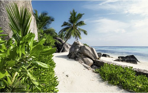 KOMAR Vliestapete »Tagträume«, Breite 450 cm, seidenmatt - bunt