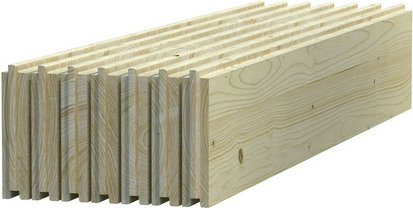 PALMAKO Fußboden, Fichtenholz, natur - beige