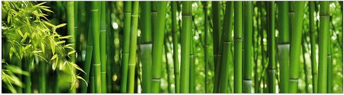 mySPOTTI Küchenrückwand »Bambus«, Aluverbund, Bambus