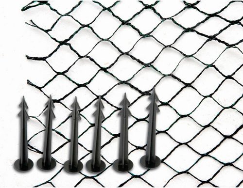 SIENA GARDEN Teichnetz, B x L: 500 x 600 cm