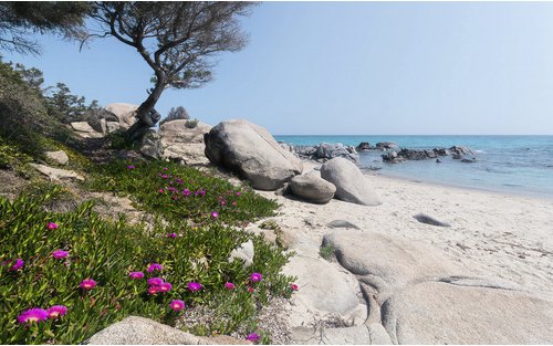 KOMAR Vliestapete »Mediterrane Träume«, Breite 450 cm, seidenmatt - bunt