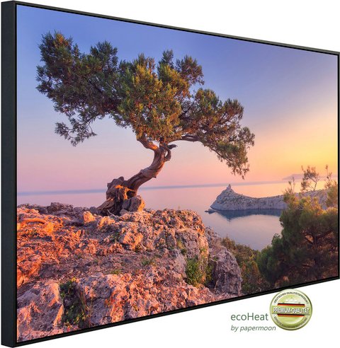 papermoon Infrarotheizung »EcoHeat - Erstaunlicher Baum auf d. Felsen«, Matt-Effekt - bunt