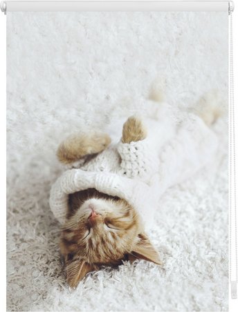 Thumbnail - Lichtblick Rollo, Klemmfix, 100x150 cm, Sleepy Cat, weiß - weiss