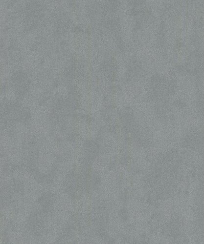 Vliestapete »La Veneziana III«, anthrazit, glatt - silberfarben