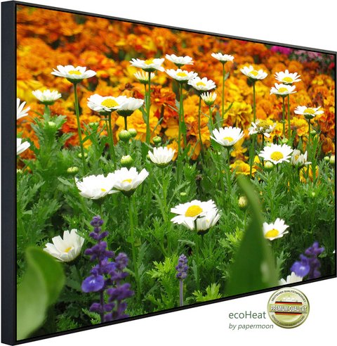 papermoon Infrarotheizung »EcoHeat - Blumenwiese«, Matt-Effekt - bunt
