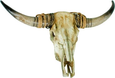 DEKO PLEASURE Geweih, natur/braun, BxH: 52,5 x 88 cm - beige