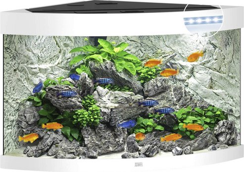 JUWEL AQUARIUM Trigon 190 LED Aquarium - weiss