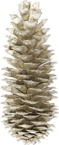 Flowerbox Deko-Zapfen - grau