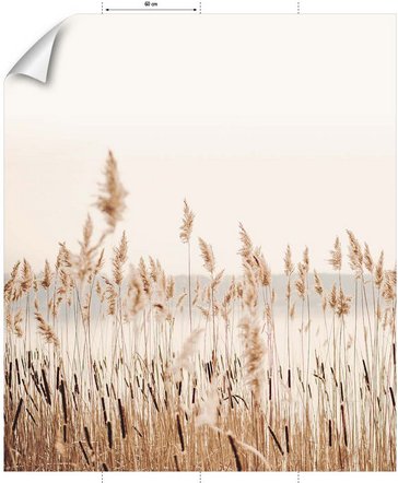 mySPOTTI Vliestapete »Sebi«, KornBlumen, weiß/beige, matt - weiss
