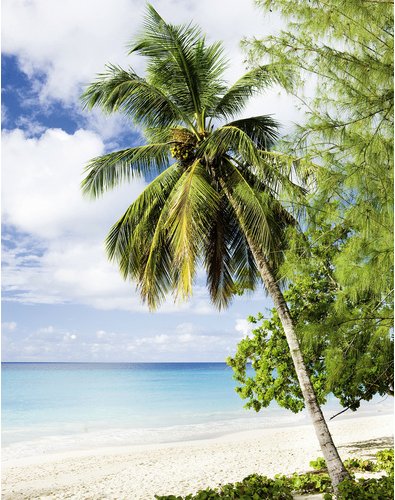 marburg Vliestapete »Smart Art Easy«, Strand, Palmen, grün/blau - gruen