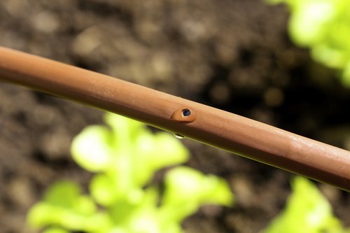 VITAVIA Tropfschlauch, BxT: 4,5 x 24,5 cm - braun