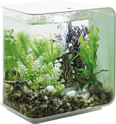 OASE Tabletop Aquarien »biOrb FLOW«, mit LED Beleuchtung, 15 l, weiss