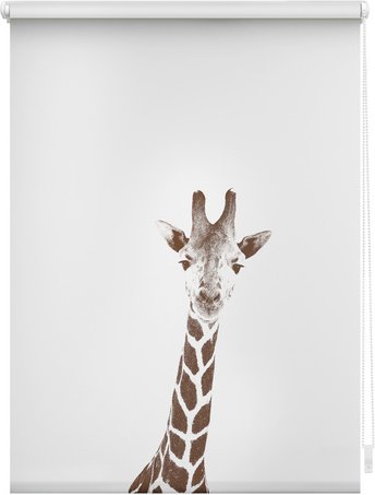 Thumbnail - Lichtblick Rollo, Klemmfix, 100x150 cm, Giraffe - braun
