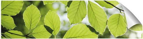 mySPOTTI Küchenrückwand-Panel »fixy«, grün - gruen