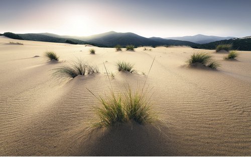 KOMAR Vliestapete »Vivid Dunes«, Breite 450 cm, seidenmatt - bunt