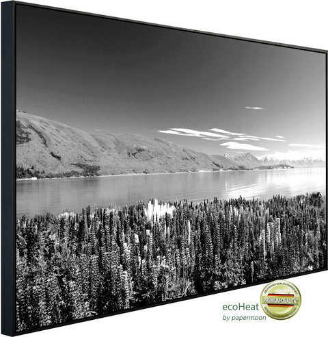 Thumbnail - papermoon Infrarotheizung »EcoHeat - Landschaft schwarz + weiss«, Matt-Effekt - bunt