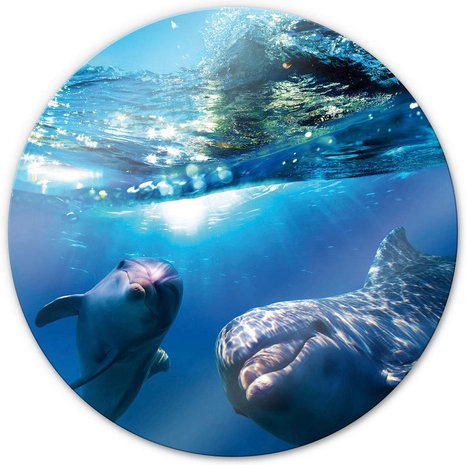 K&L Wall Art Glasbild »Glasbild«, Ø 50 cm, Wand Deko Badezimmer Delfine rund