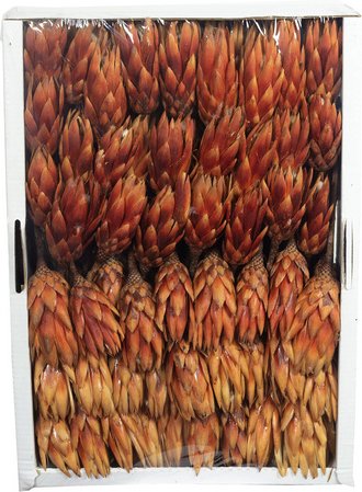 Flowerbox Trockenblumen - orange