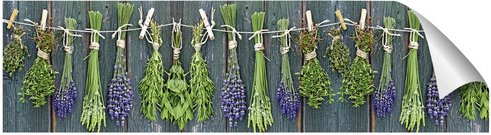 mySPOTTI Küchenrückwand »Kräuter d. P.«, Polyvinylchlorid (PVC), Kräuter