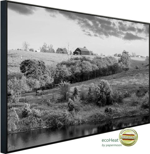 Thumbnail - papermoon Infrarotheizung »EcoHeat - Landschaft Schwarz + Weiss«, Matt-Effekt - bunt