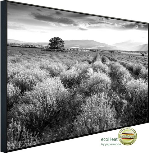 Thumbnail - papermoon Infrarotheizung »EcoHeat - Landschaft schwarz + weiss«, Matt-Effekt - bunt