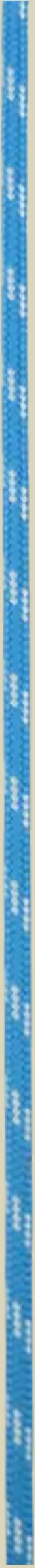 PES Cord blue (50) 4 mm