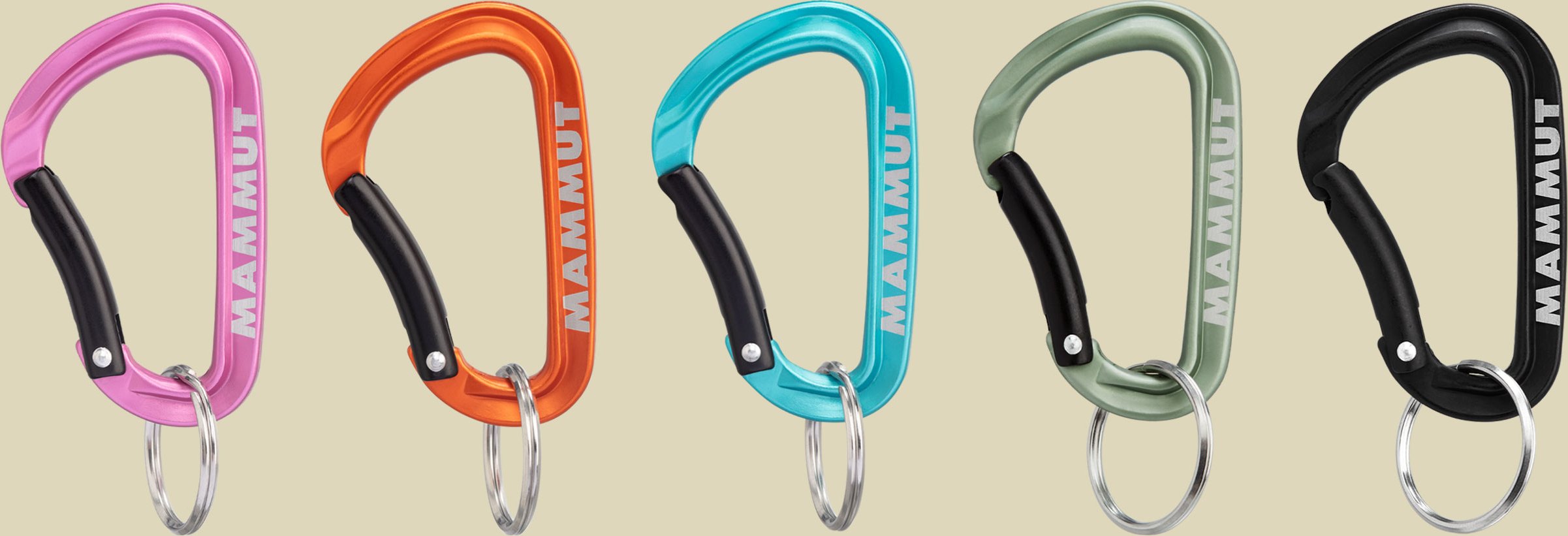 Mammut Mini Carabiner Classic Keylock S Größe 6 cm Farbe assorted