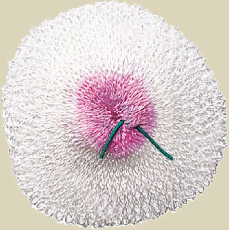 Glühstrümpfe 3er Pack