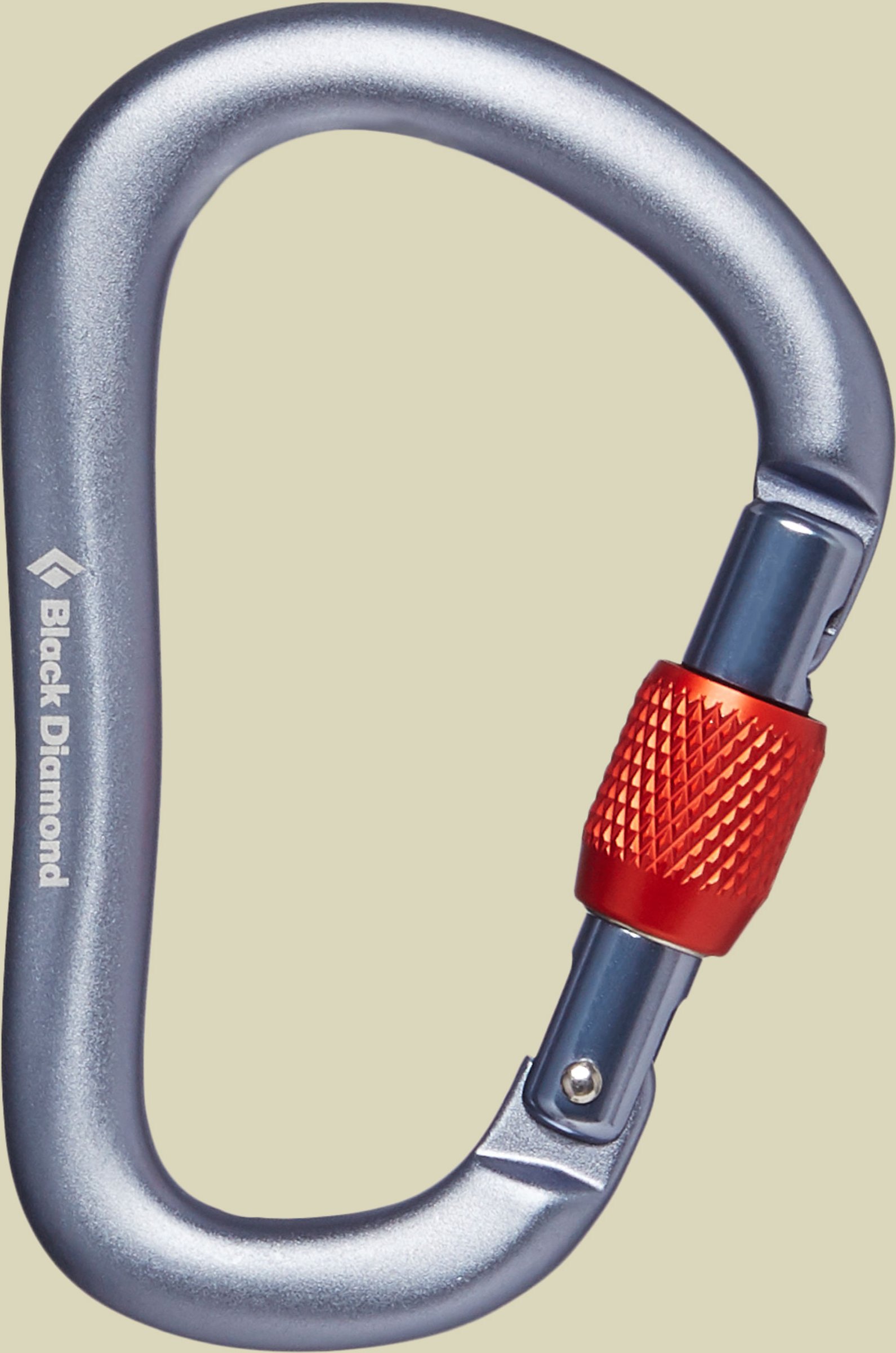 RockLock Screwgate Carabiner Farbe gray