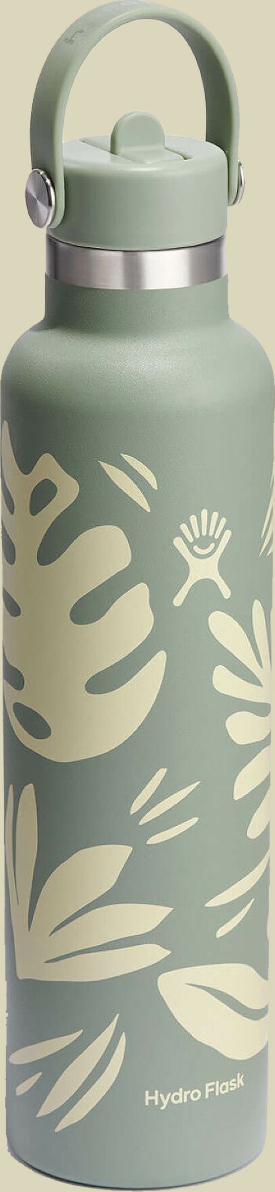 Hydro Flask 21 oz Standard Mouth w. Flex Straw Cap mehrfarbig 621 - botanical bliss agave