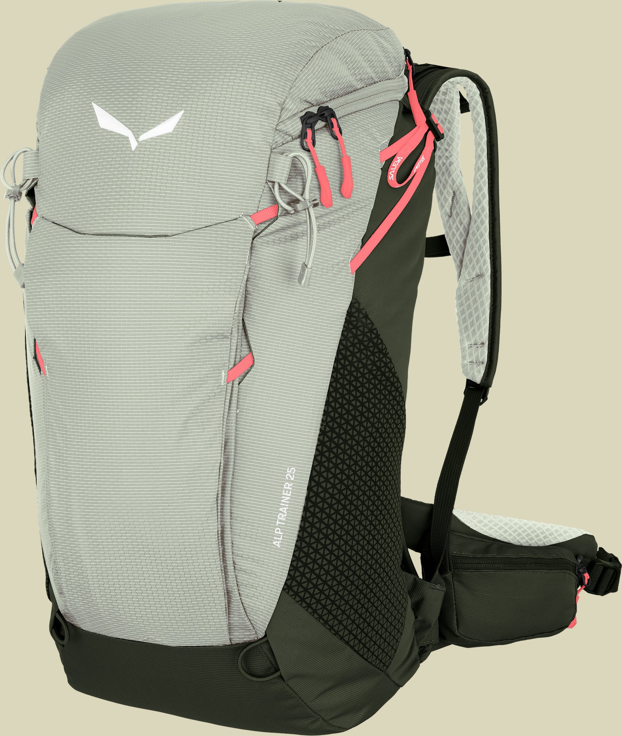 Alp Trainer 25 Volumen 25 Farbe shadow/dark olive