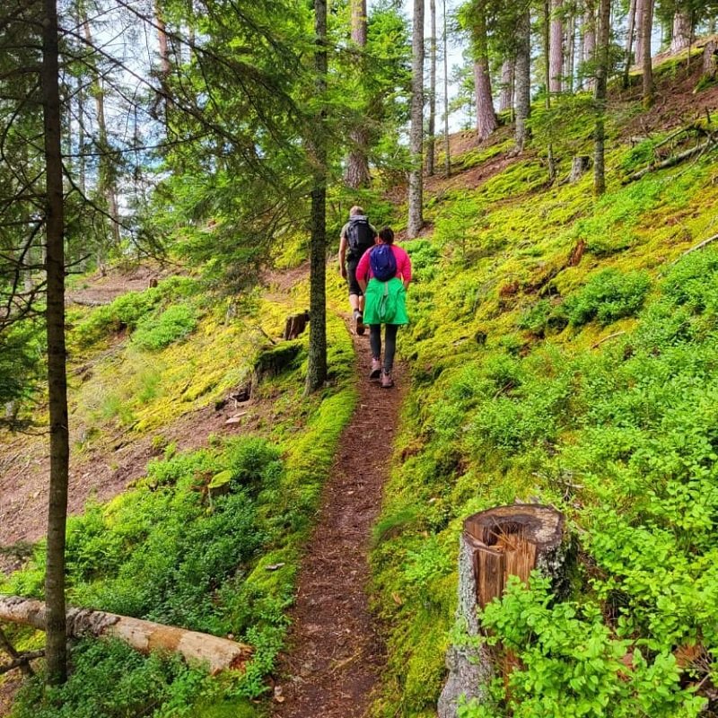 Gesundheitswanderung - Schramberger Wald 18.04.2026
