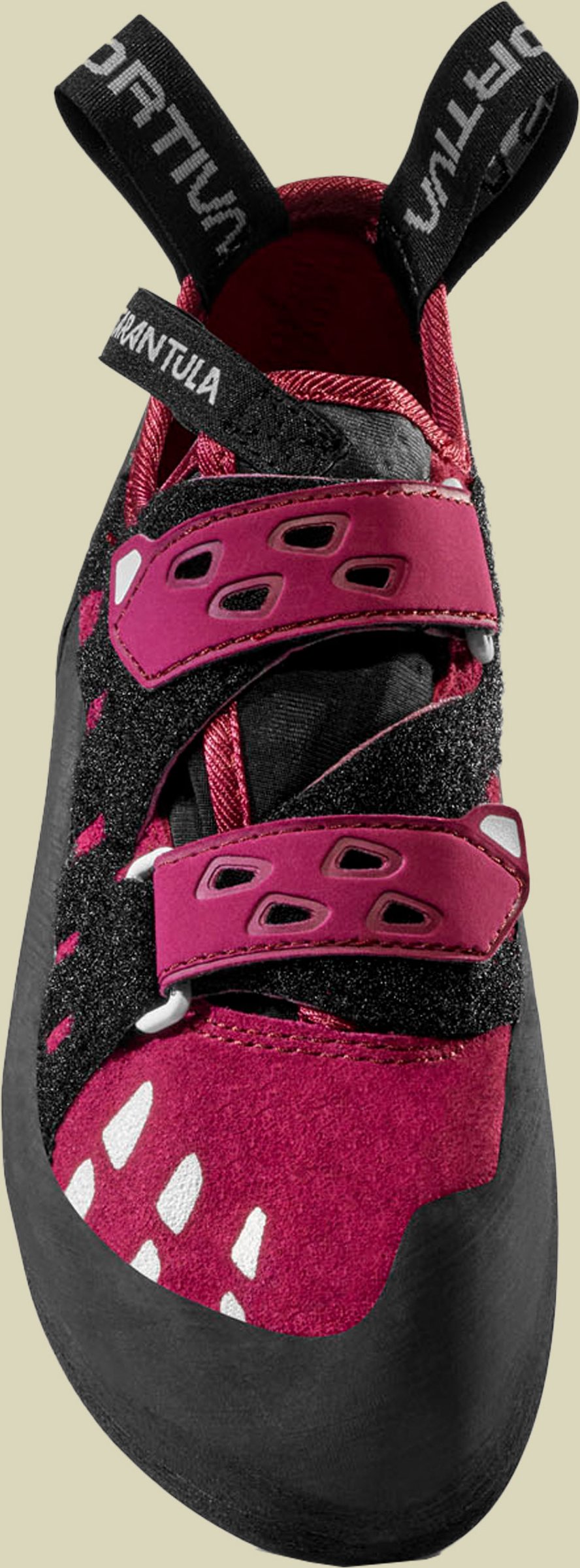 Tarantula Women 42 pink - red plum