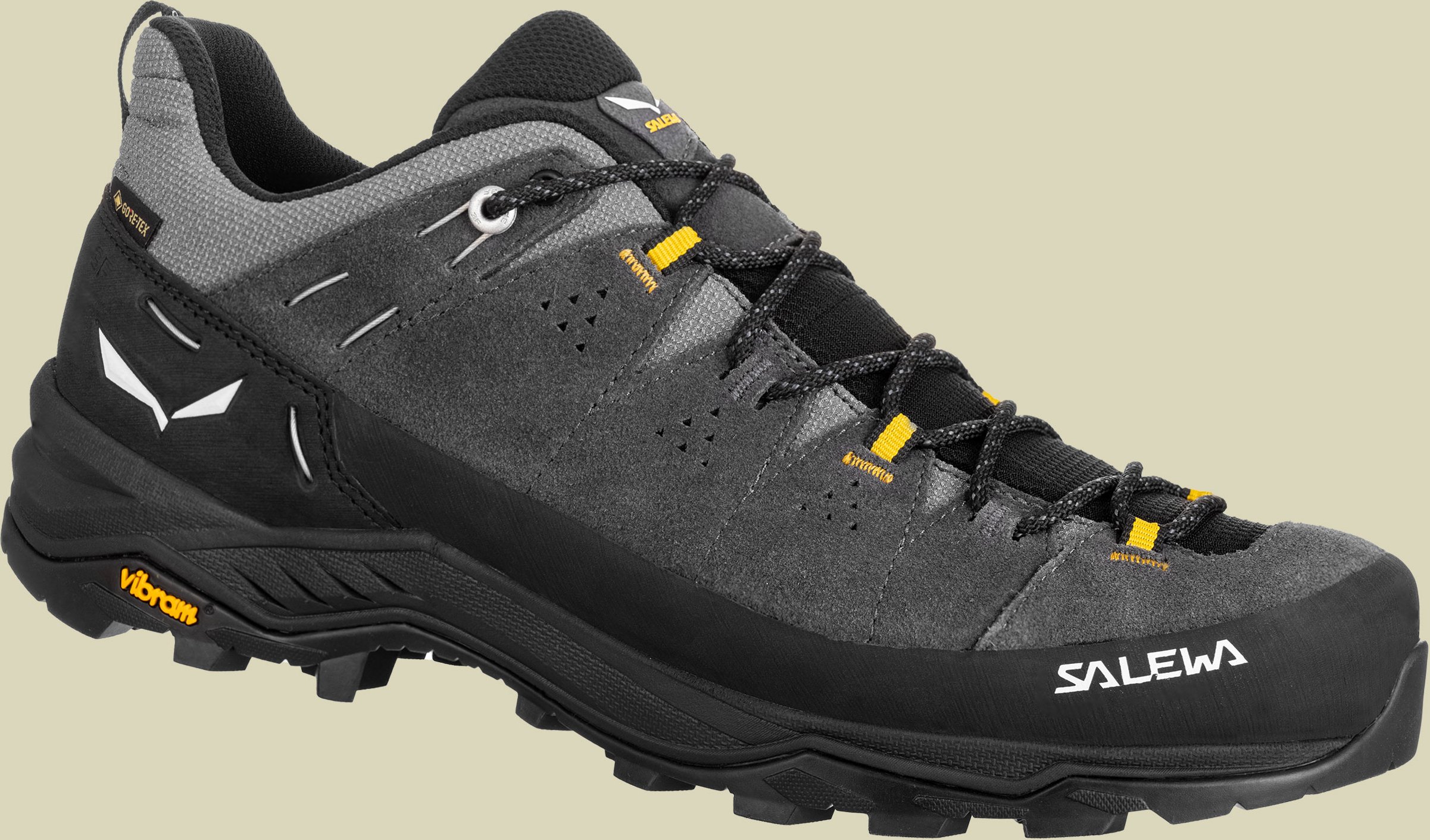 Alp Trainer 2 GTX Men onyx/black UK 9