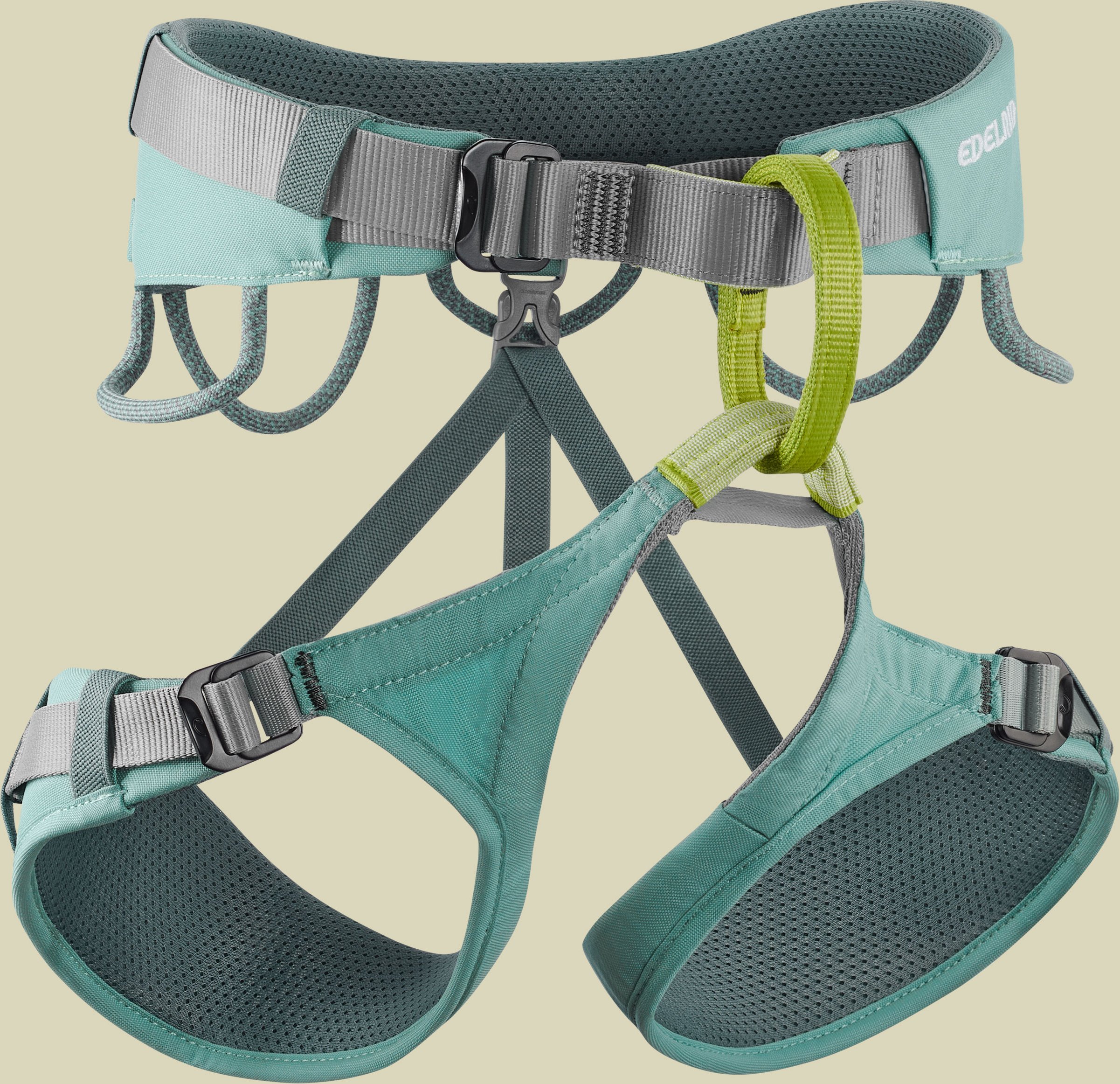 Jayne IV S blau - dolphin