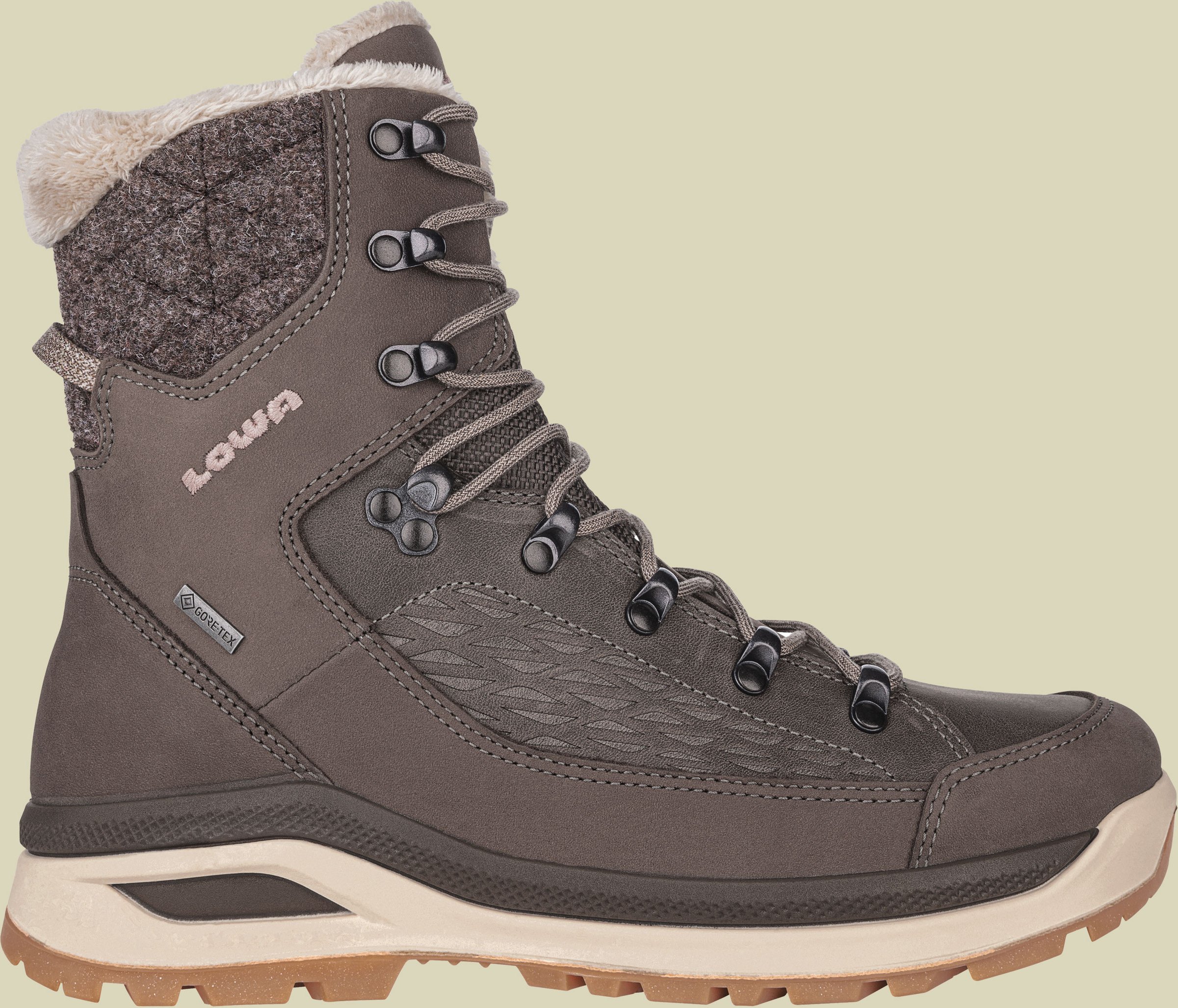 Renegade Evo Ice GTX Women UK 7,5 braun - stein/champagner